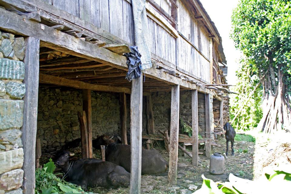 When Your Host Mom Gives Birth in a Mountain Village of Nepal 10625141 10152777477394551 437706731106224251 n - When Your Host Mom Gives Birth in a Mountain Village of Nepal