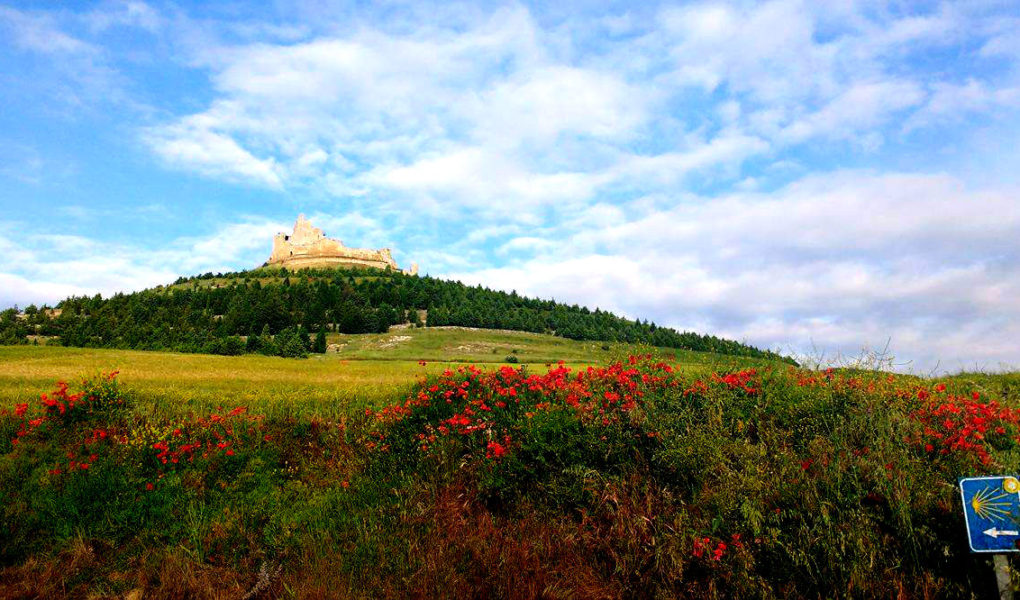 14060203 10154551137254551 2101486332 o 2 1020x600 - To Walk Across Spain