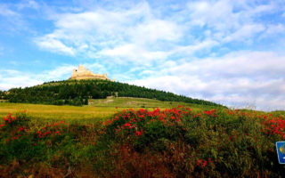 14060203 10154551137254551 2101486332 o 2 320x200 - To Walk Across Spain