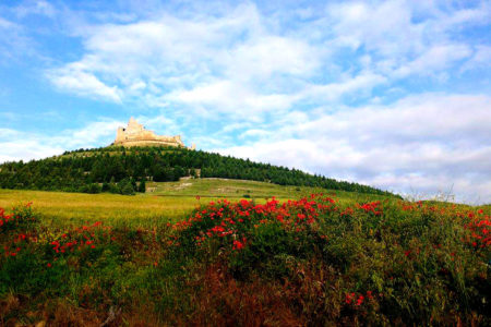 14060203 10154551137254551 2101486332 o 2 450x300 - To Walk Across Spain