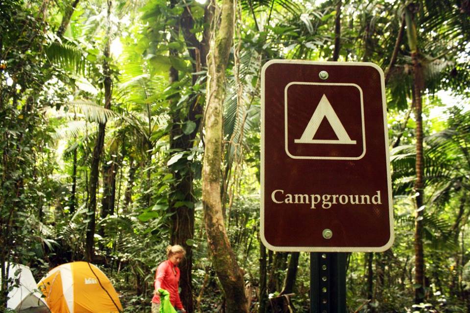 5 Reasons Why You Should Camp in a Jungle 481169 10154070541474551 6521609511535937725 n - 5 Reasons Why You Should Camp in a Jungle