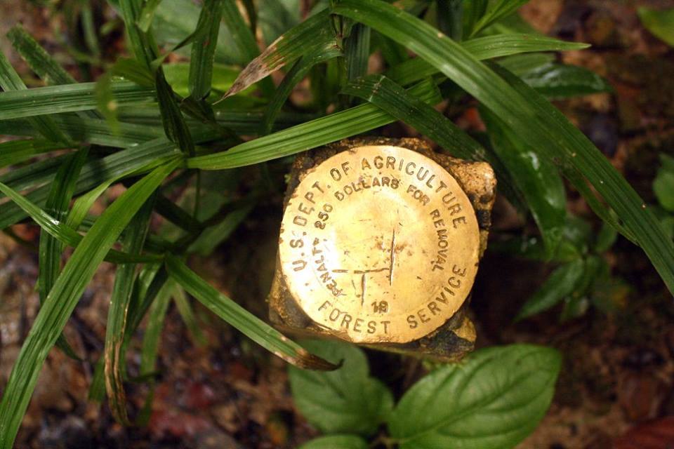 5 Reasons Why You Should Camp in a Jungle 9613 10154070541449551 6959107722774292403 n - 5 Reasons Why You Should Camp in a Jungle