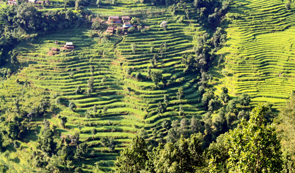 IMG 7030 1020x600 - When Your Host Mom Gives Birth in a Mountain Village of Nepal