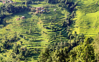 IMG 7030 320x200 - When Your Host Mom Gives Birth in a Mountain Village of Nepal