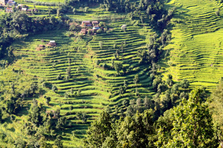 IMG 7030 450x300 - When Your Host Mom Gives Birth in a Mountain Village of Nepal