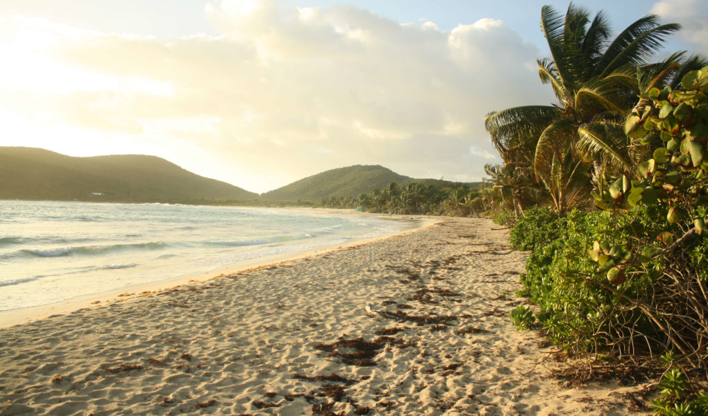 IMG 9873 1020x600 - Favorite Place I’ve Ever Camped: An Ode to Culebra