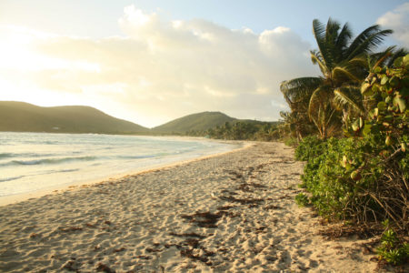 Favorite Place I’ve Ever Camped: An Ode to Culebra IMG 9873 450x300 - Favorite Place I’ve Ever Camped: An Ode to Culebra