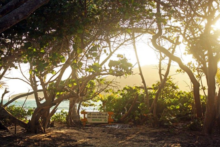 Favorite Place I’ve Ever Camped: An Ode to Culebra 12841147 10154070542194551 2392214659105610287 o 768x512 - Favorite Place I’ve Ever Camped: An Ode to Culebra