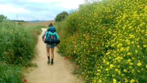 13310437 10208001515427851 9066207005251355337 n 300x170 - Walking through Wildflowers on El Camino de Santiago