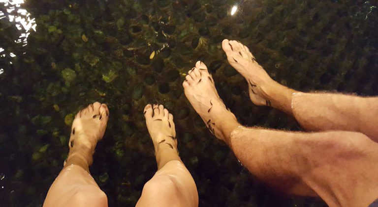 What it’s like to Soak in a Japanese Onsen 22008472 10155894354929551 3223796471225671133 n 768x422 - What it’s like to Soak in a Japanese Onsen