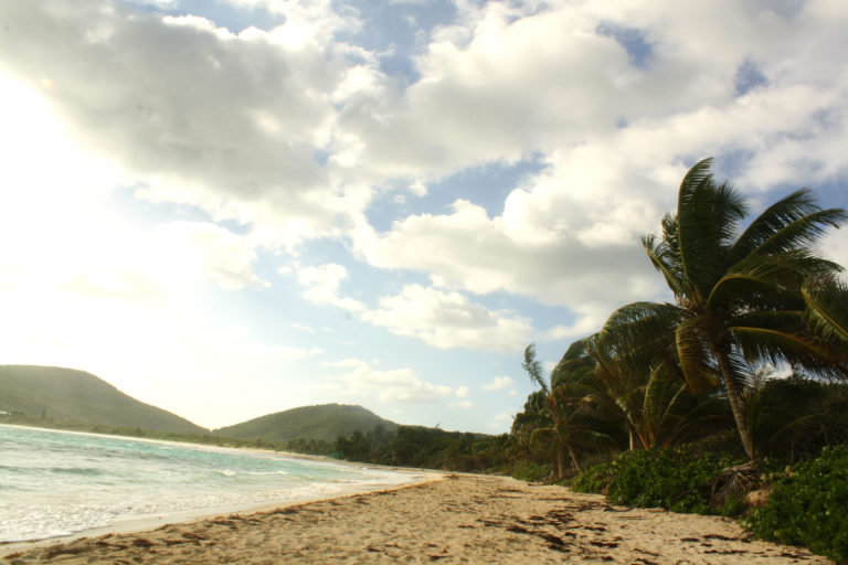 Favorite Place I’ve Ever Camped: An Ode to Culebra IMG 9899 768x512 - Favorite Place I’ve Ever Camped: An Ode to Culebra