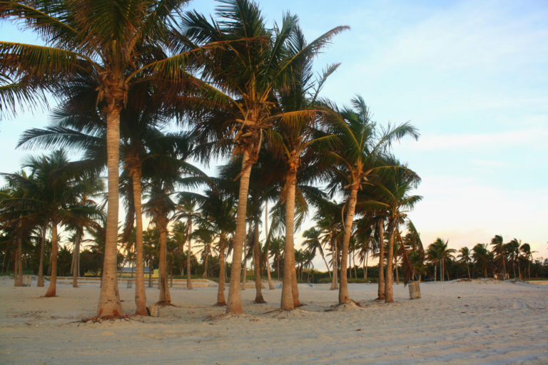 Miami: 4 Days, 7 Beaches IMG 1397 768x512 - Miami: 4 Days, 7 Beaches