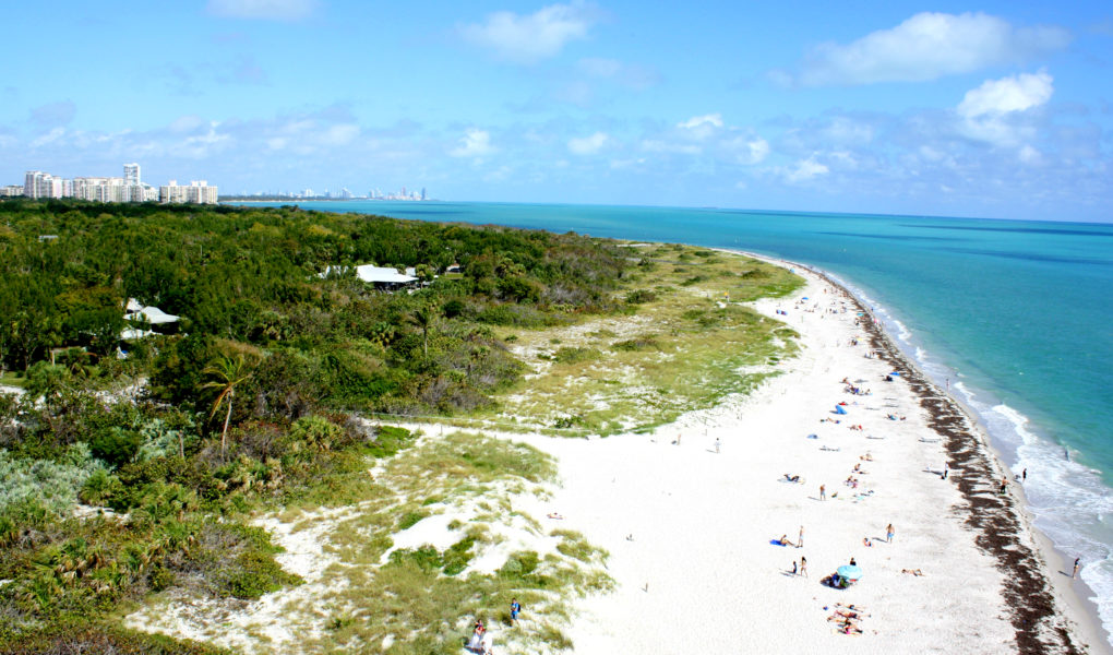 Overlooking Key Biscayne from the Cape Florida Lighthouse, for Ellen Blazer's travel blog To Travel and Bloom