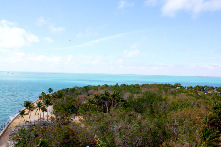 Miami: 4 Days, 7 Beaches IMG 1449 768x512 - Miami: 4 Days, 7 Beaches
