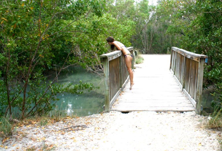 Miami: 4 Days, 7 Beaches IMG 1815 1 768x523 - Miami: 4 Days, 7 Beaches
