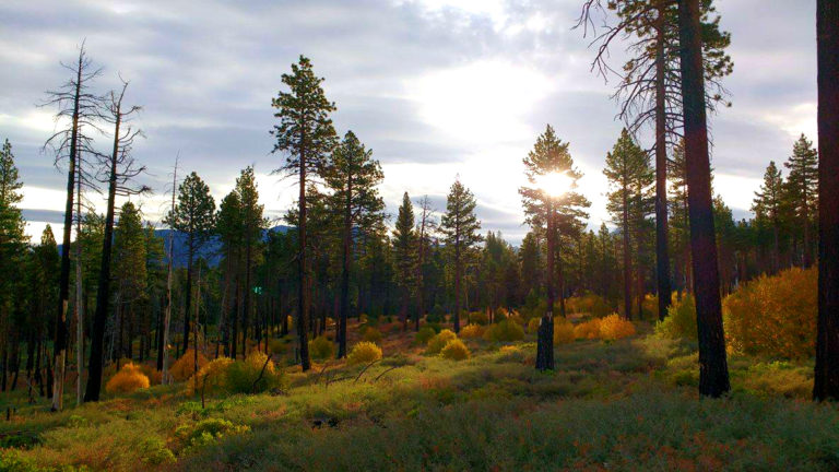 39 Things that Go Through Your Head When You Go Hiking & Camping in the Winter 14647280 10154713632824551 1062140009 o 768x432 - 39 Things that Go Through Your Head When You Go Hiking & Camping in the Winter