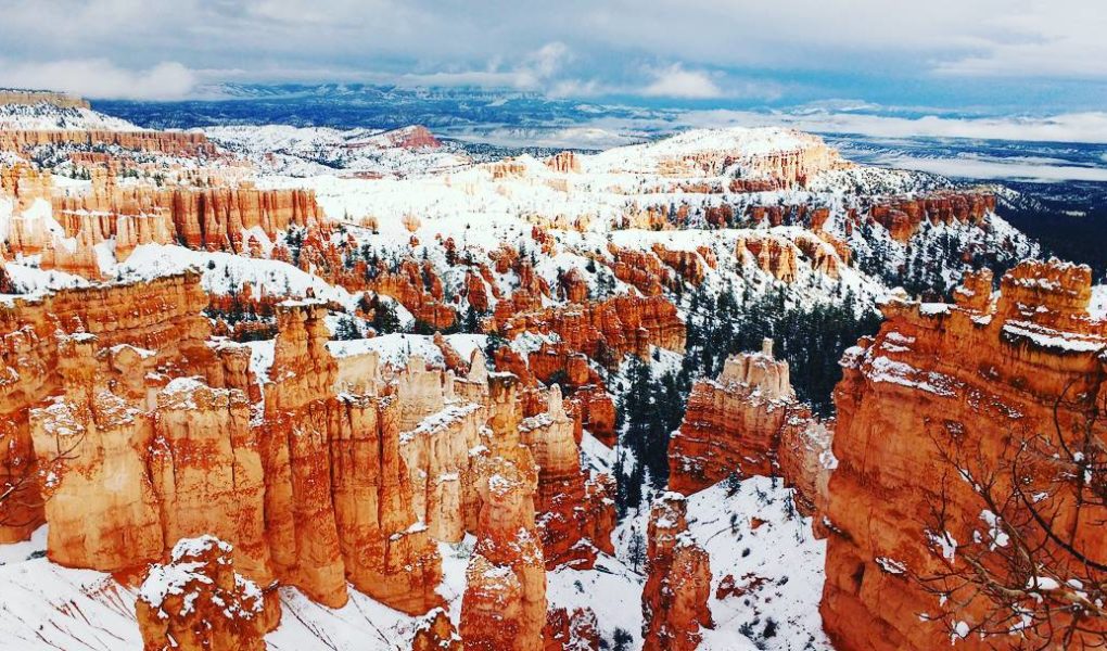 Bryce Canyon during my winter road trip, for Ellen Blazer's travel blog To Travel and Bloom