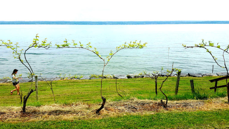 Top 4 Things To Do at the Finger Lakes 340427782 10156604582484551 8420605484880363520 n 768x431 - Top 4 Things To Do at the Finger Lakes