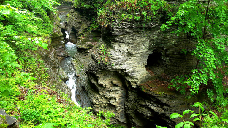 Top 4 Things To Do at the Finger Lakes 341086202 10156604568284551 4949771442943164416 n 768x432 - Top 4 Things To Do at the Finger Lakes