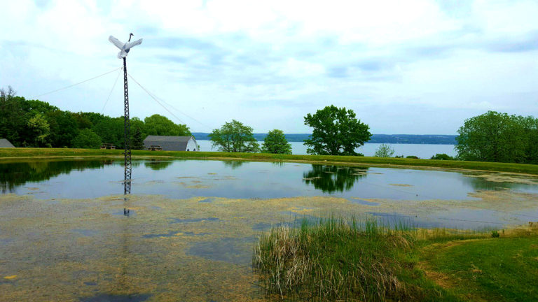 Top 4 Things To Do at the Finger Lakes 343060702 10156604584004551 5344145927156269056 n 768x432 - Top 4 Things To Do at the Finger Lakes