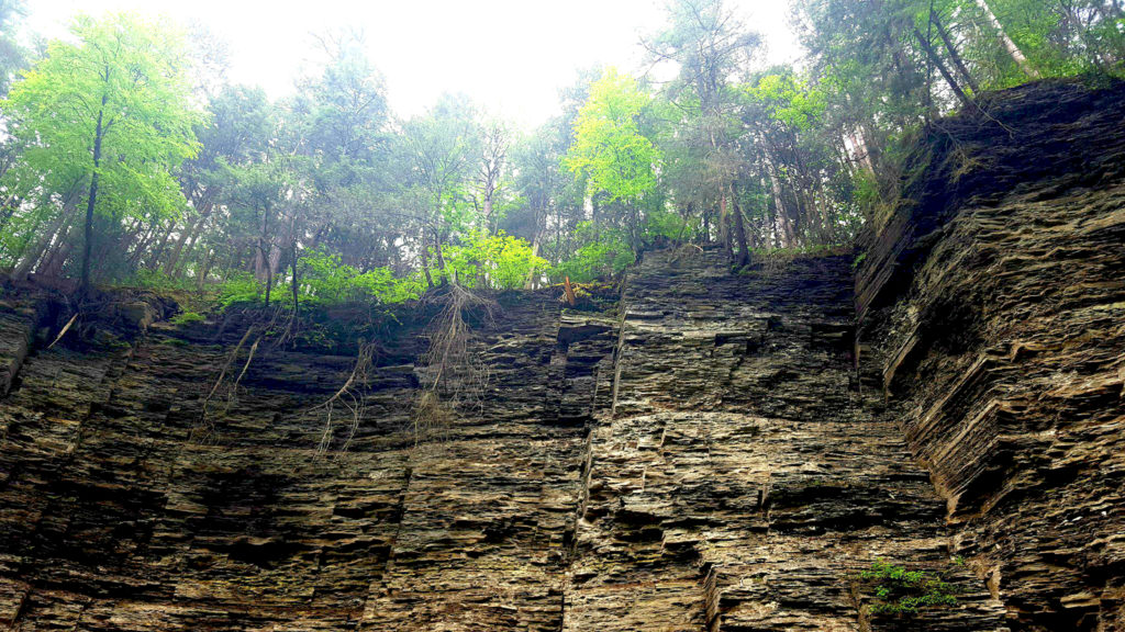 Top 4 Things To Do at the Finger Lakes 343218572 10156604572284551 2346171759985688576 n 1024x576 - Top 4 Things To Do at the Finger Lakes