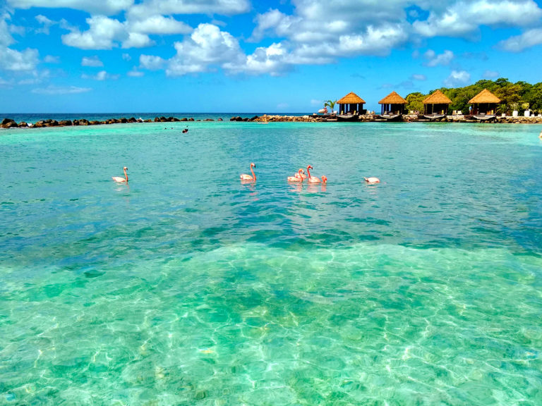 IMG 20190114 125123575 HDR    768x576 - Aruba's Private Island: Flamingo Beach