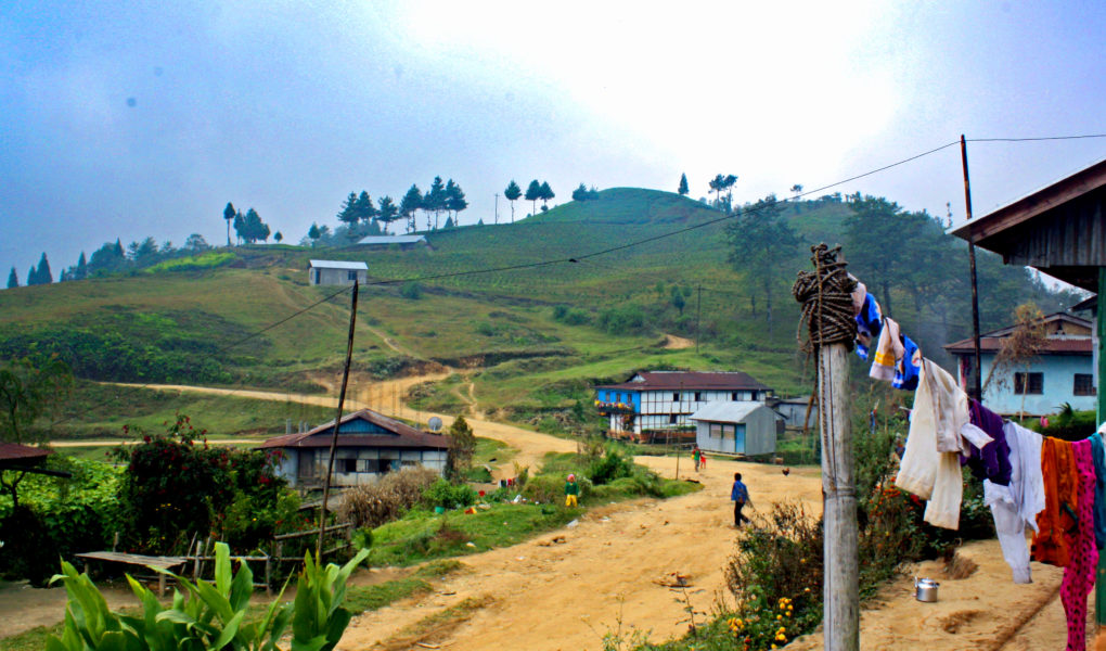 The path to Mai Pokhari in eastern Nepal near Ilam for Ellen Blazer's travel blog To Travel and Bloom