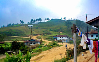 The path to Mai Pokhari in eastern Nepal near Ilam for Ellen Blazer's travel blog To Travel and Bloom