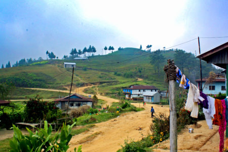 Hike to Mai Pokhari The path to Mai Pokhari in eastern Nepal near Ilam for Ellen Blazer's travel blog To Travel and Bloom