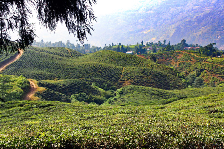 Food Poisoning, a Strike, & a Motorcycle Ride in Nepal IMG 7925 1 768x512 - Food Poisoning, a Strike, & a Motorcycle Ride in Nepal