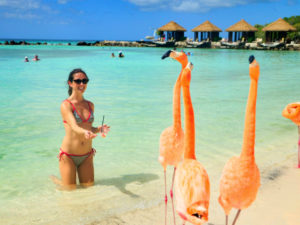 P1522365 1 2 1  300x225 - Flamingo Beach