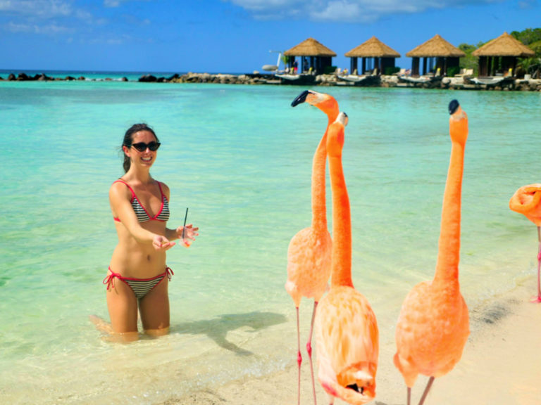 P1522365 1 2 1 background 768x576 - Aruba's Private Island: Flamingo Beach