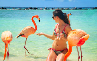 Ellen feeding flamingos at Flamingo Beach of Aruba's private island, Renaissance Island for Ellen Blazer's travel blog To Travel and Bloom