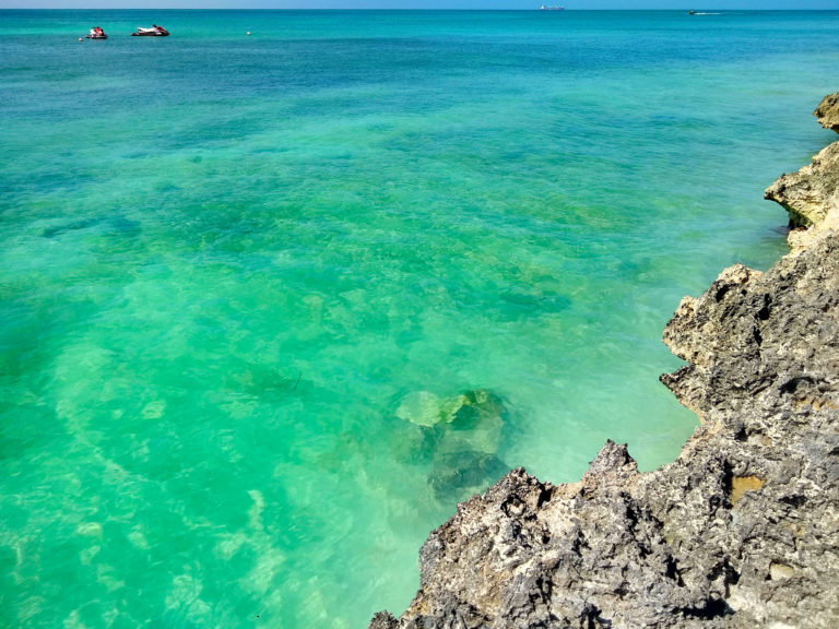 Top 7 Things To Do in Aruba IMG 20190112 135654362 HDR 768x576 - Top 7 Things To Do in Aruba