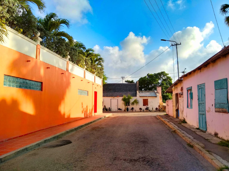 Top 7 Things To Do in Aruba IMG 20190112 171329468 HDR 768x576 - Top 7 Things To Do in Aruba