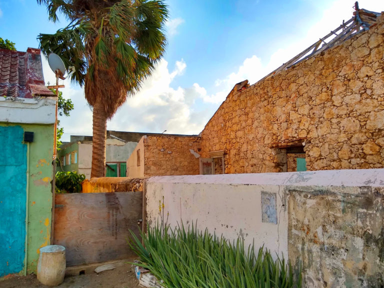 Top 7 Things To Do in Aruba IMG 20190112 171359356 HDR 768x576 - Top 7 Things To Do in Aruba
