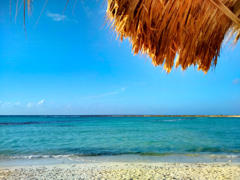 Top 7 Things To Do in Aruba IMG 20190113 081129964 HDR 768x576 - Top 7 Things To Do in Aruba