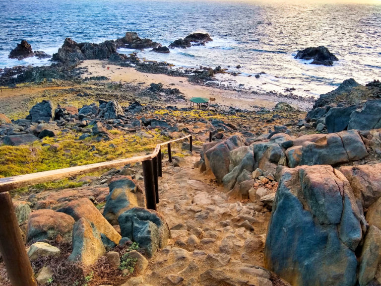 Top 7 Things To Do in Aruba IMG 20190115 075125501 HDR 768x576 - Top 7 Things To Do in Aruba