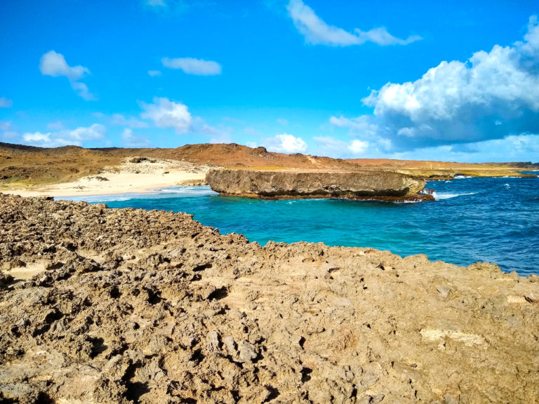 Top 7 Things To Do in Aruba IMG 20190115 092058848 HDR 768x576 - Top 7 Things To Do in Aruba