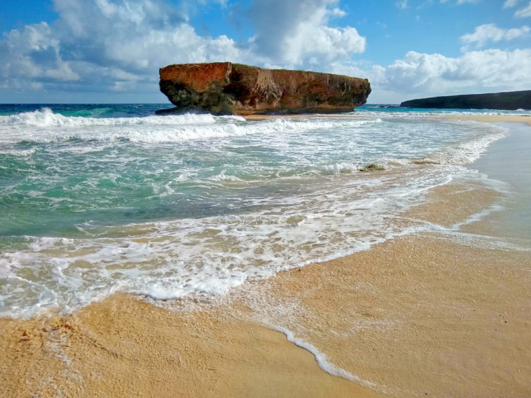 Top 7 Things To Do in Aruba IMG 20190115 094536860 HDR 768x576 - Top 7 Things To Do in Aruba