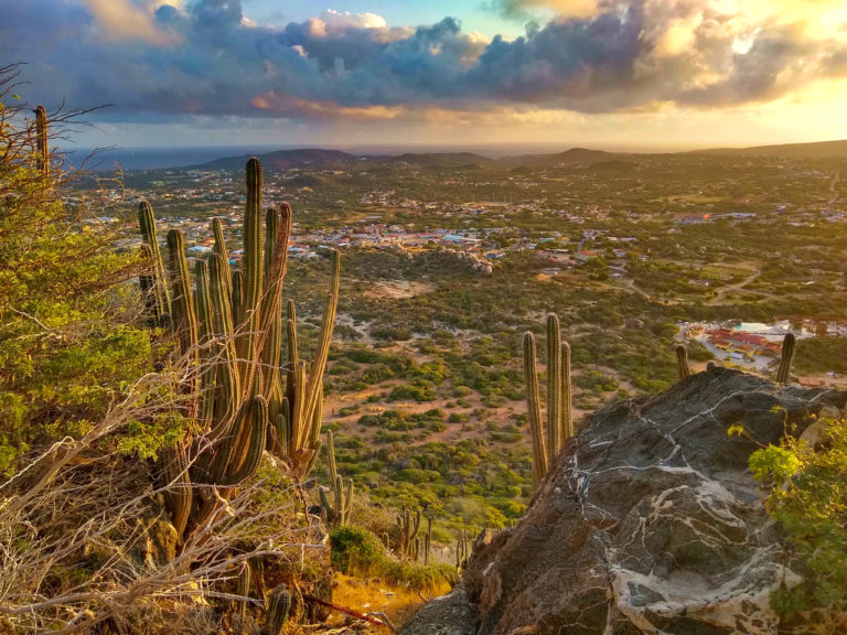 Top 7 Things To Do in Aruba IMG 20190116 073512853 HDR 768x576 - Top 7 Things To Do in Aruba