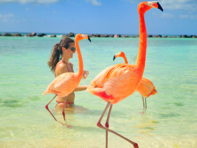 Top 7 Things To Do in Aruba xP1522361 4 768x576 - Top 7 Things To Do in Aruba