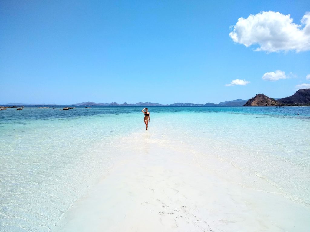 Visiting Komodo National Park IMG 20191106 104020235 2 1024x768 - Visiting Komodo National Park