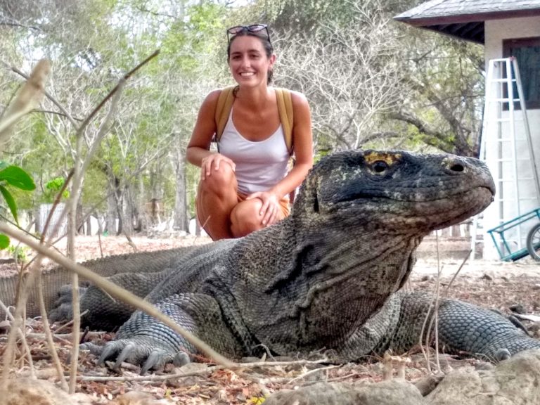 Visiting Komodo National Park IMG 20191107 154751930 HDR 768x576 - Visiting Komodo National Park