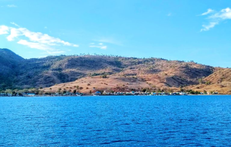 Visiting Komodo National Park IMG 20191107 165701102 1 768x490 - Visiting Komodo National Park