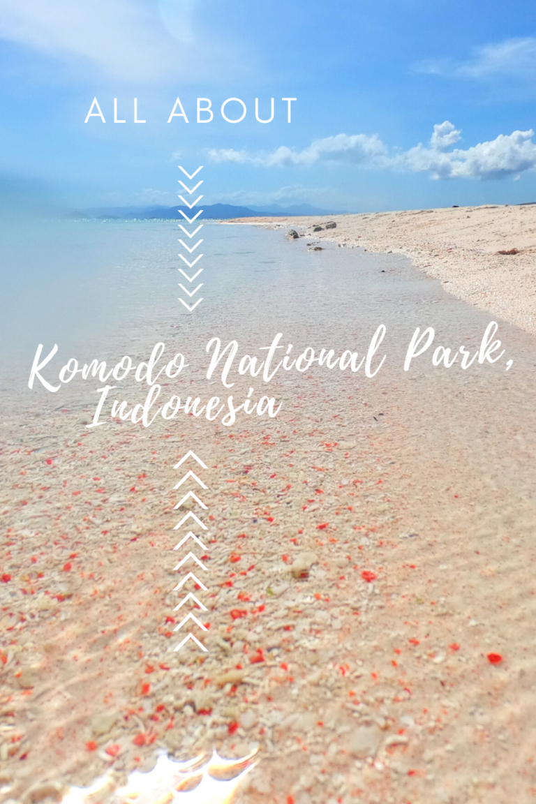 Visiting Komodo National Park All About Komodo National Park 768x1152 - Visiting Komodo National Park