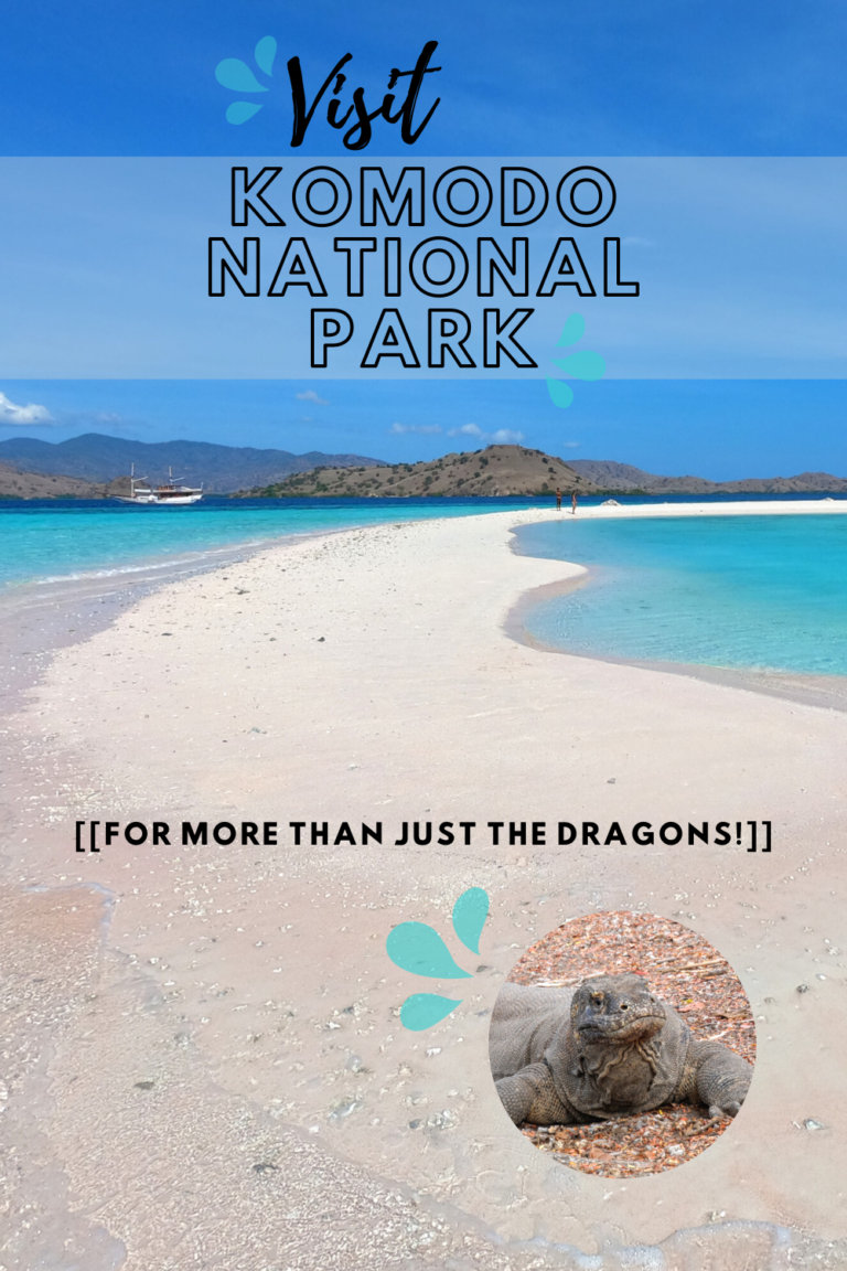Visiting Komodo National Park Beach in Indonesia 768x1152 - Visiting Komodo National Park
