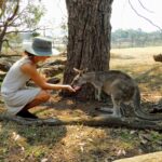 Feeding a Kangaroo in Victoria Australia 2 150x150 - Home