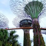 Gardens by the Bay Singapore 150x150 - Home