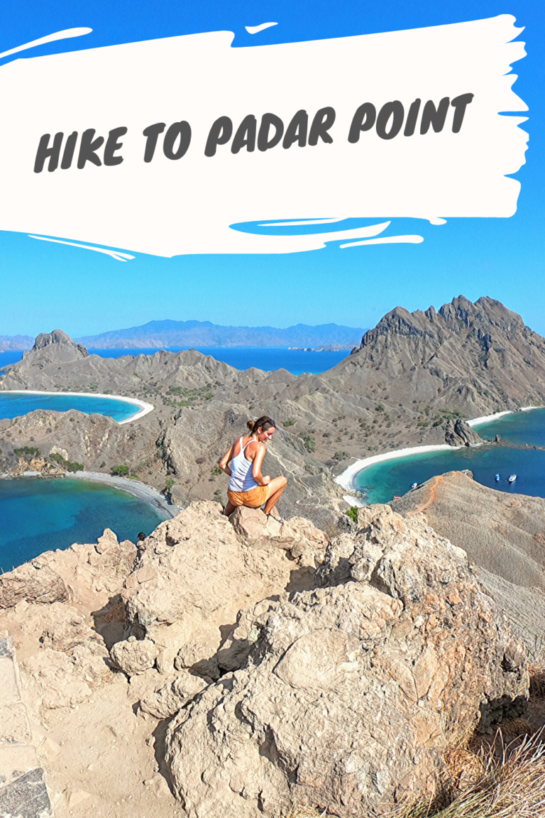 Visiting Komodo National Park HIKE TO PADAR POINT 768x1152 - Visiting Komodo National Park
